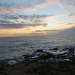 Cambria_0229 (November 05, 2011)